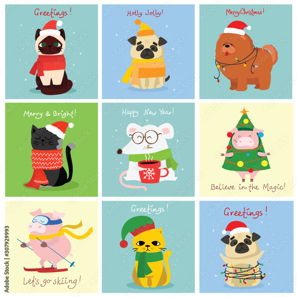 Fototapeta premium Vector illustration of Christmas cats, rats, pigs and dogs with Christmas and new year greetings. Cute pets with holiday hats