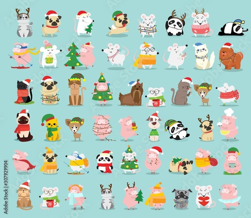 Vector illustration of christmas cats, rats, pigs and dogs with Christmas and new year greetings. Cute pets with holiday hats