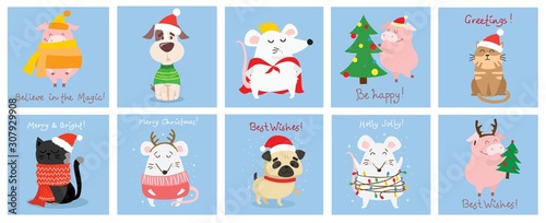 Vector illustration of christmas cats, rats and dogs with Christmas and new year greetings. Cute pets with holiday hats
