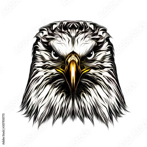 Eagle head black and white illustration on white background, digital art 