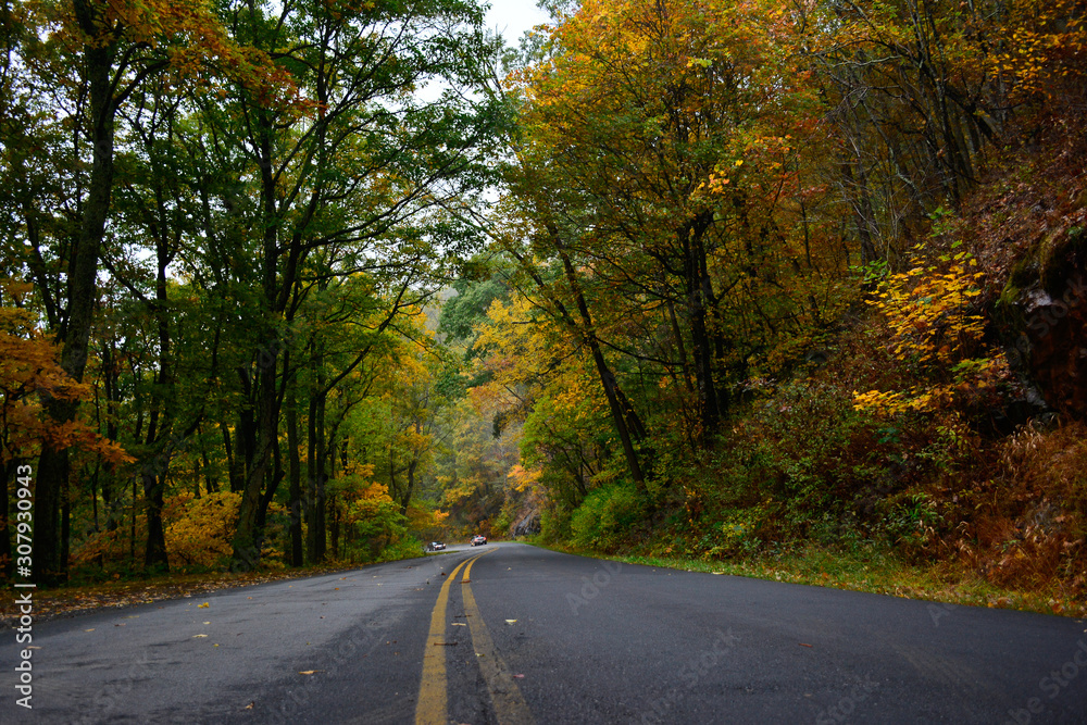 Fototapeta premium On the Road