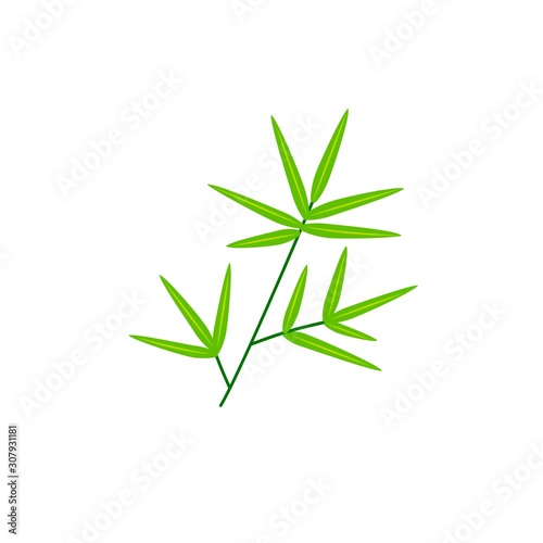 A branch with green bamboo leaves illustration on white background . Sketch. Tropical plant of Asian countries, China, Japan, Korea. Icon vector © Ольга Е