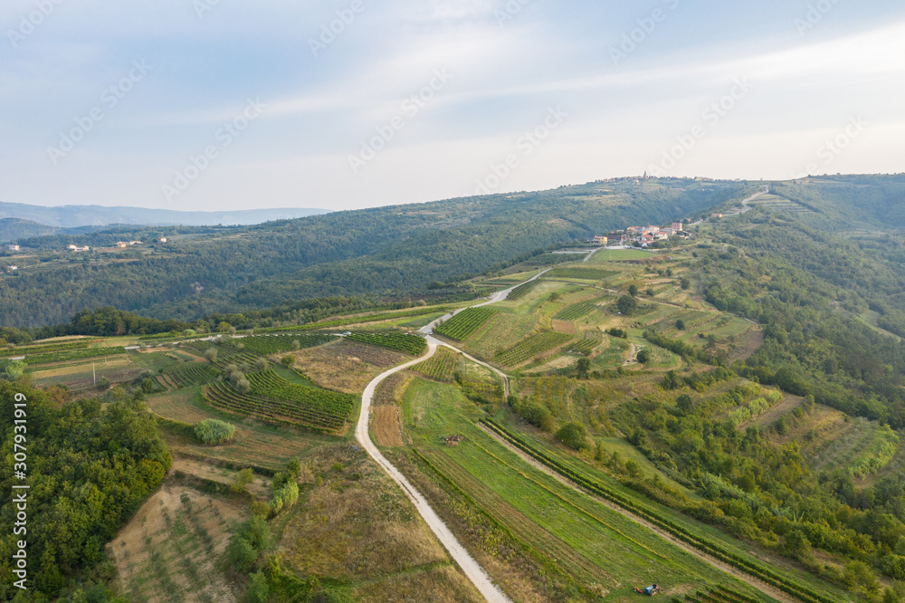The road climbs up the mountain top. On the sides of the road is a steep slope, vineyards and gardens. Shooting from a drone.