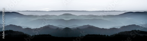 Amazing panorama background banner long from a fog landscape in the morning in black forest © Corri Seizinger