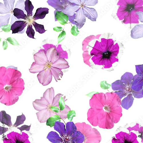 Beautiful floral background of petunias and clematis. Isolated