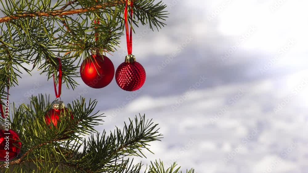 Red Christmas Balls decorations hanging on pine tree branch outside with snow in background.. Zoom in