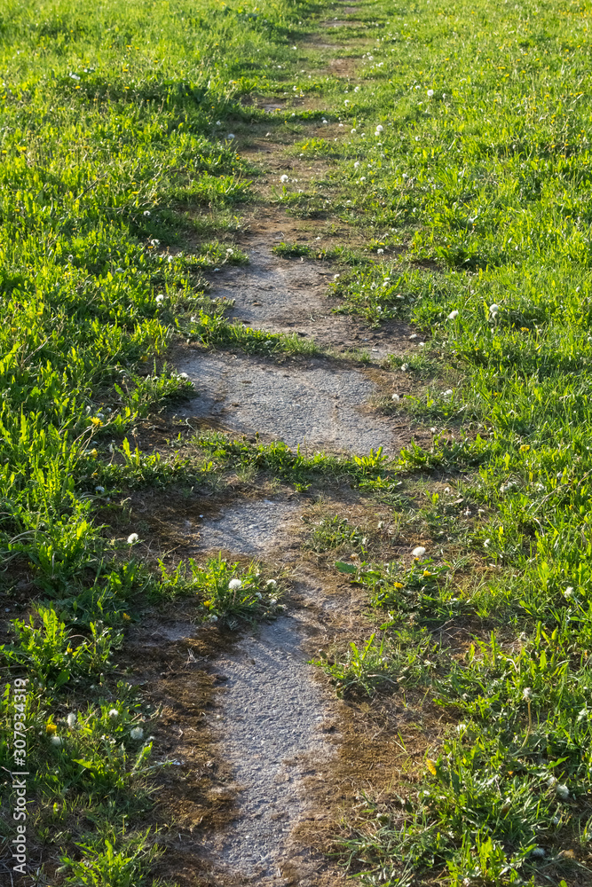 concrete path is destroyed under the influence of nature concrete path is destroyed under the influence of nature