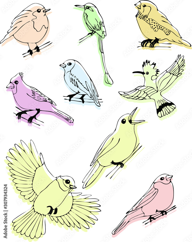 Vector sketch set drawn by hand. Set of vector outline line stroke birds set. Vector sketch set drawn by hand. Set of vector outline line stroke birds set.