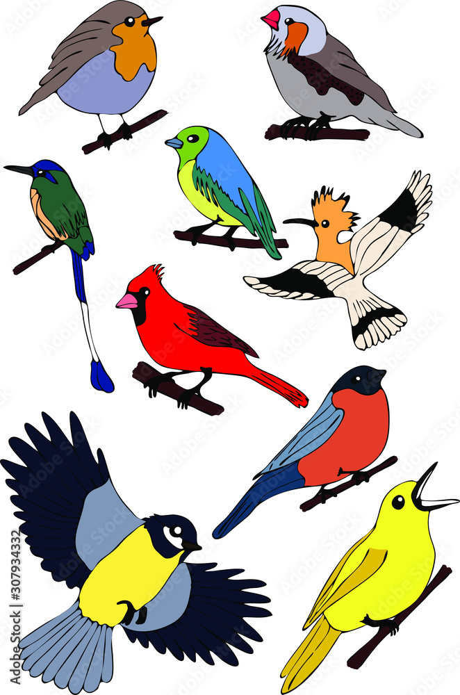 Fototapeta premium Vector sketch set drawn by hand. Set of vector outline line stroke birds set.