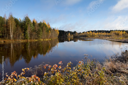 a frosty autumn morning, trees covered with colorful foliage along the river bank, on the front plate yellow leaves are covered with frost