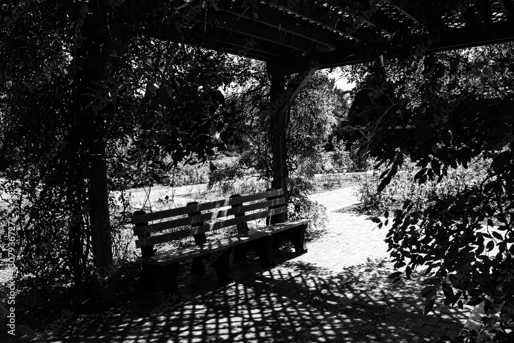 bench terrace black and white