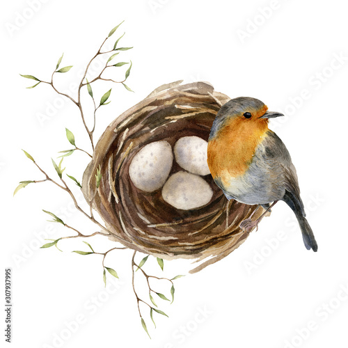 Watercolor easter card with bird and nest. Hand painted spring nest with eggs, feathers and branch isolated on white background. Holiday wildlife illustration for design, print or background. photo