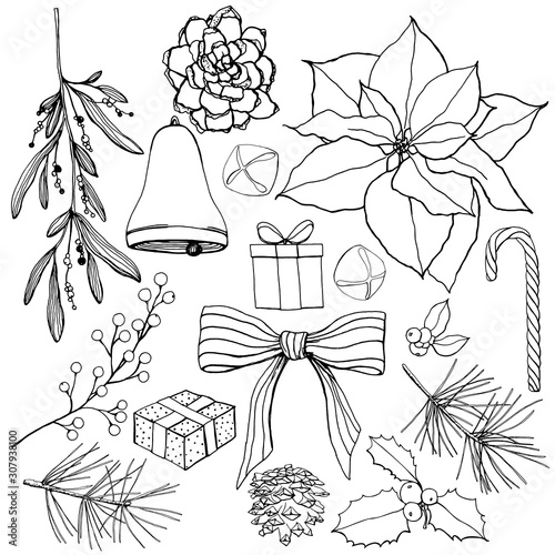 Vector linear set with Christmas symbols. Hand painted poinsettia, bow, bells, pine and eucalyptus branch isolated on white background. Holiday illustration for design, print, fabric, background.