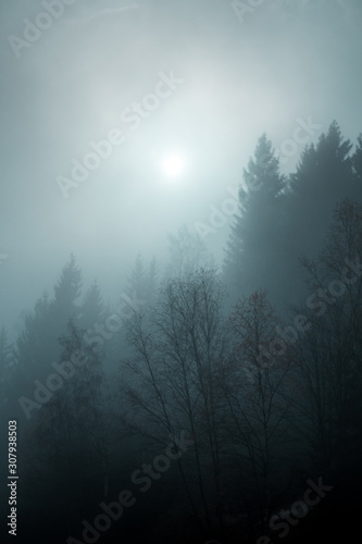 Moody and ramatic contrast of a dark winter day with clouds and winter landscape panorama view. Brocken, Harz National Park Mountains in Germany