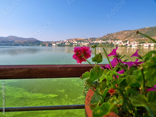 Kastoria, Greece.  Pot with flower and out of focus view from a cafe  by the lake Orestiada, in beautiful day light.