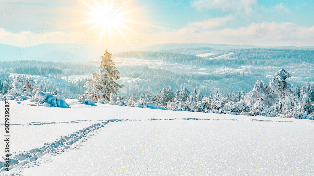 Stunning panorama of snowy landscape in winter in Black Forest - winter wonderland - obrazy, fototapety, plakaty 