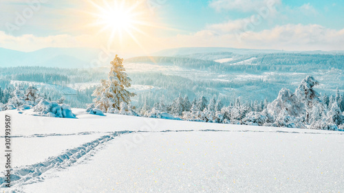 Stunning panorama of snowy landscape in winter in Black Forest - winter wonderland photo