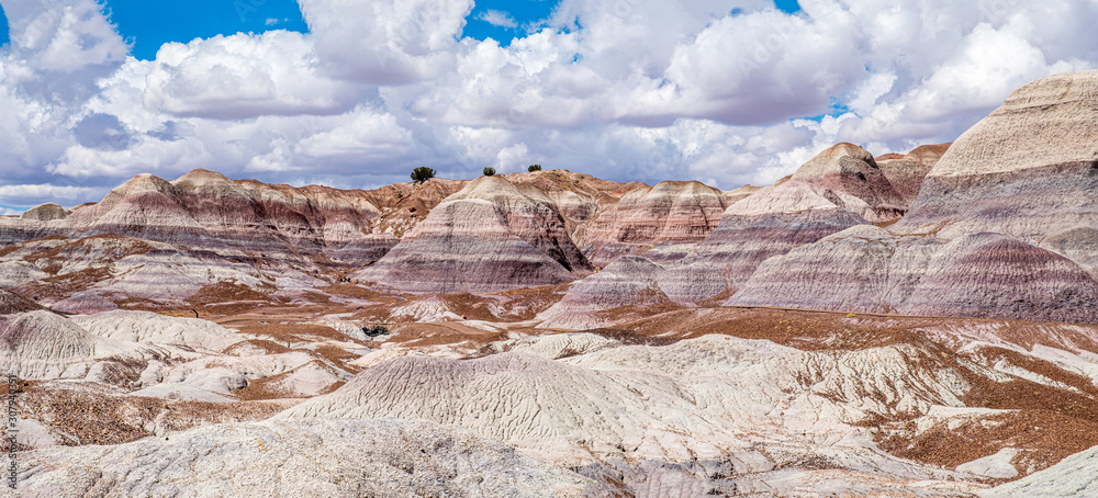 Beautiful, colorful hues form the canyons along the Blue Mesa Trail presented in a panoramic view - Petrified Forest National Park