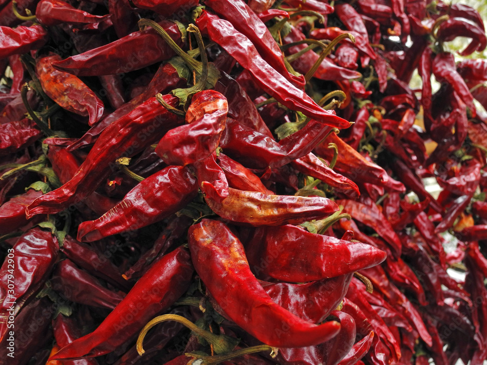 Garlands of red dried paprika pods in Budapest spice shop, Hungary. Natural food background.  