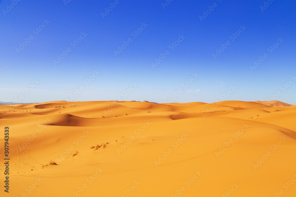 Sand Dunes of the Sahara Desert.
