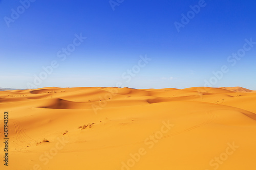 Sand Dunes of the Sahara Desert. © lizavetta