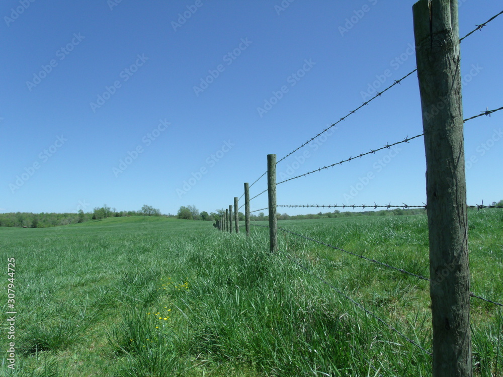 Perspective view down a barbed wire fence line Perspective view down a barbed wire fence line