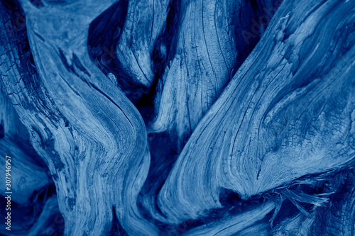 Blue wooden texture, driftwood. Old withered tree, migratory branches. Trend color 2020 classic, top view. Trendy color concept of the year, classic blue wooden background.