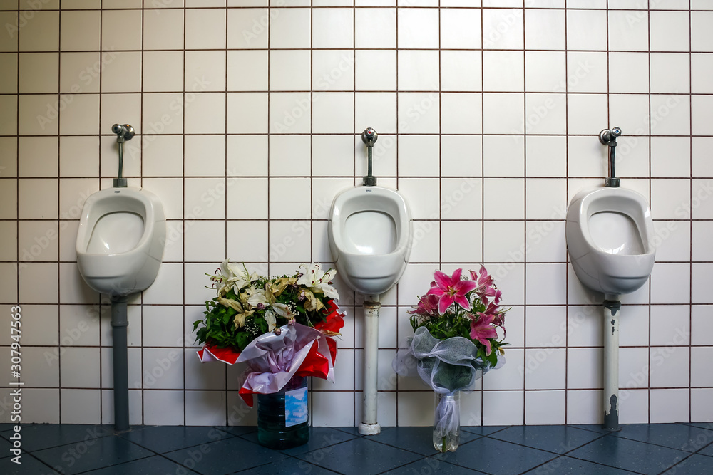 Urinal,Urinals for men arranged in a public toilet with flowers,Close up  row of urinal toilet blocks. Stock Photo | Adobe Stock