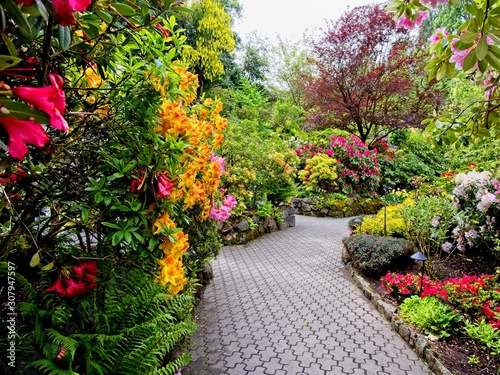 Fototapeta Naklejka Na Ścianę i Meble -  Springtime garden