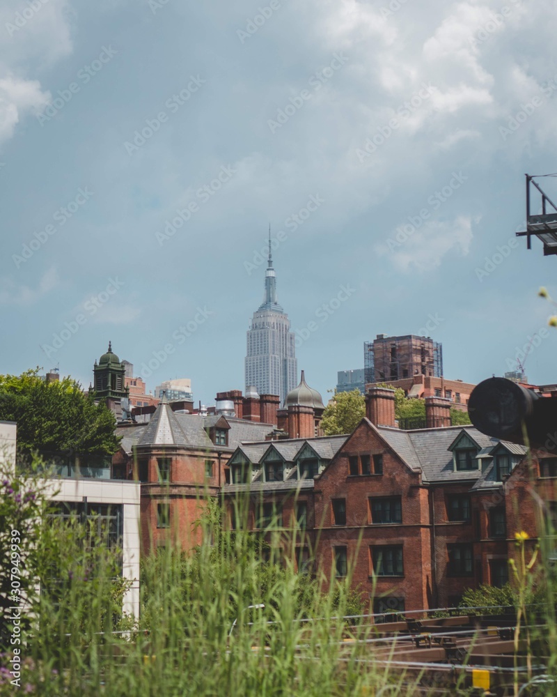 Obraz premium Empire State Building 