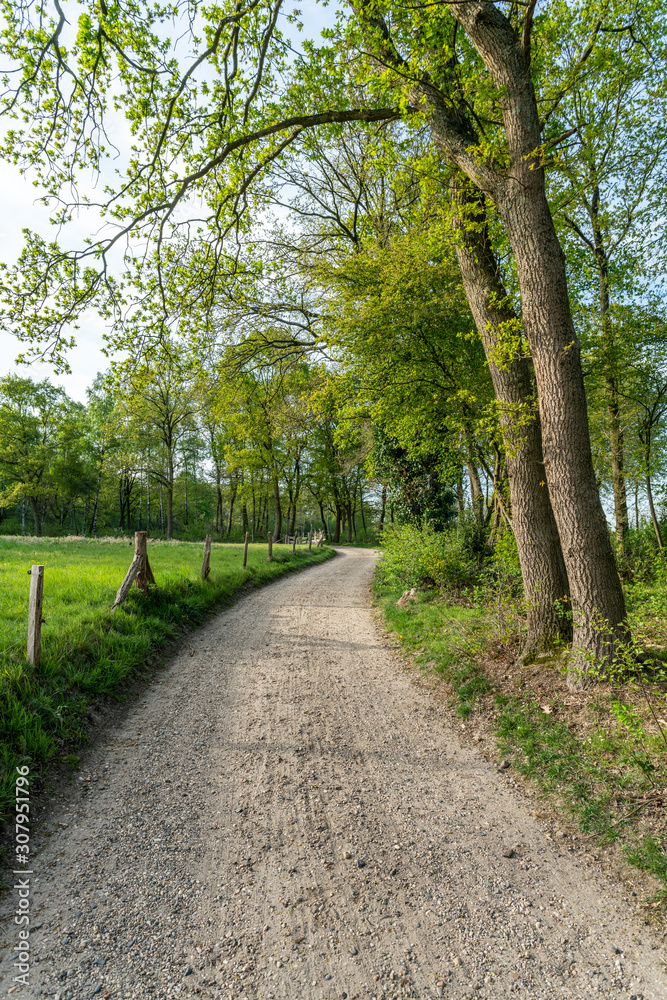 Dirt road leading through the outskirts of the Veluwe into the IJssel valley near Loenen (The Netherlands)