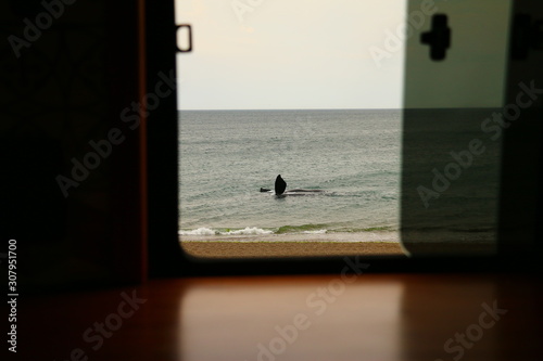 ballenas vistas desde la ventana de un motorhome