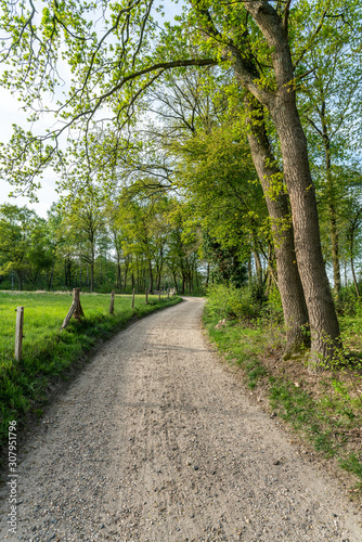 Dirt road leading through the outskirts of the Veluwe into the IJssel valley near Loenen  The Netherlands 
