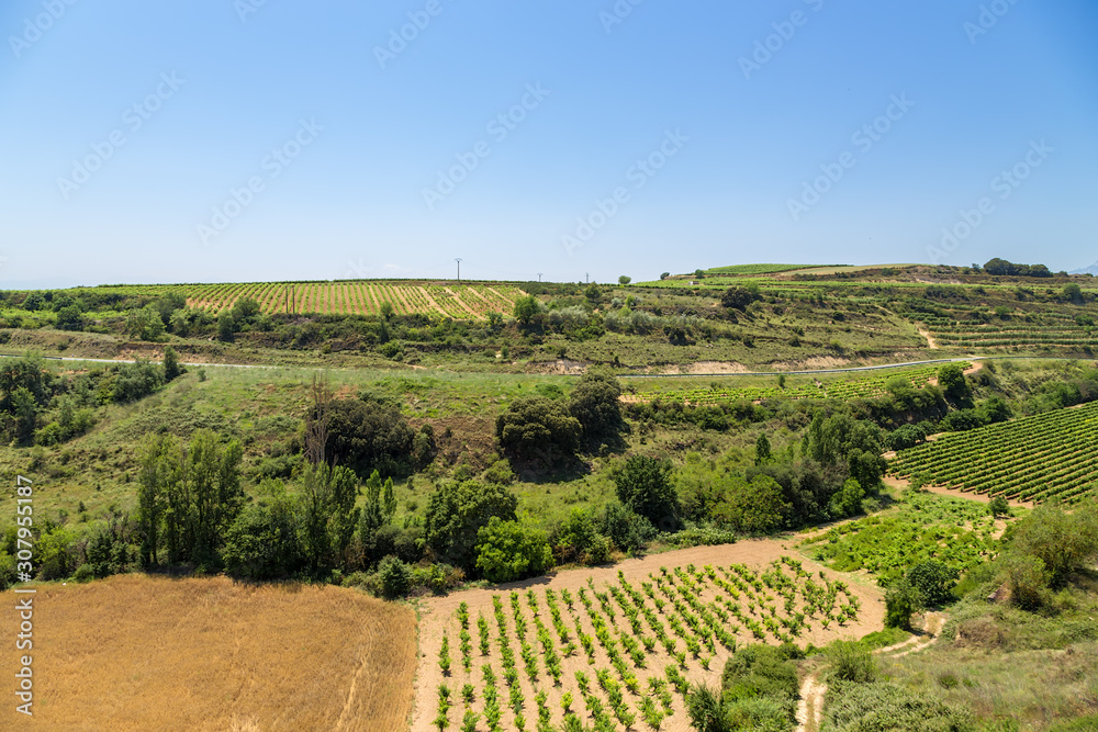 Elvillar, Spain. Landscape with agricultural land