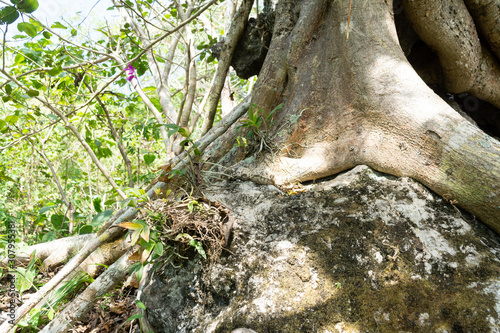 piedra de juluapan