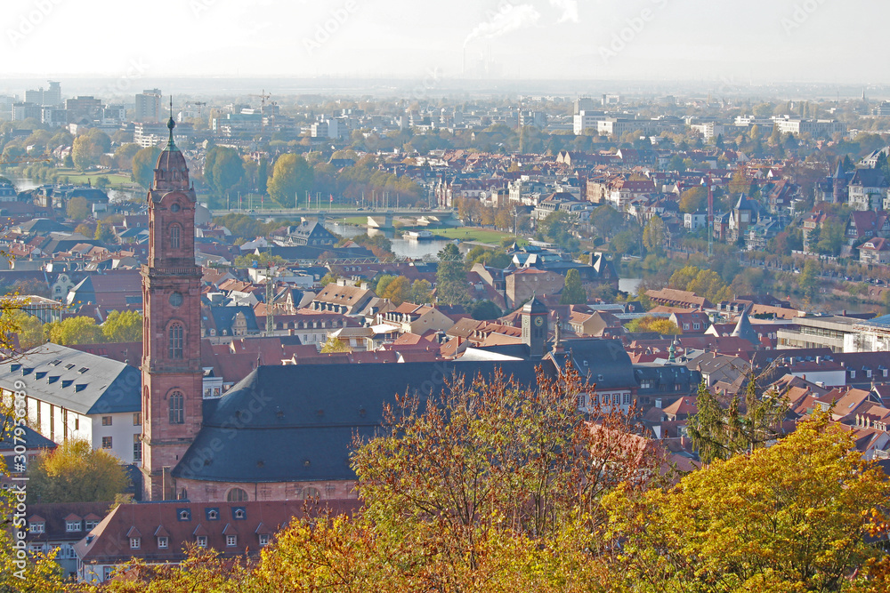 Panorama of Heidelberg from the Castle Hill, Germany	
