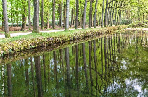Castle pond of Kasteel Ter Horst in Loenen  The Netherlands  lined with trees.