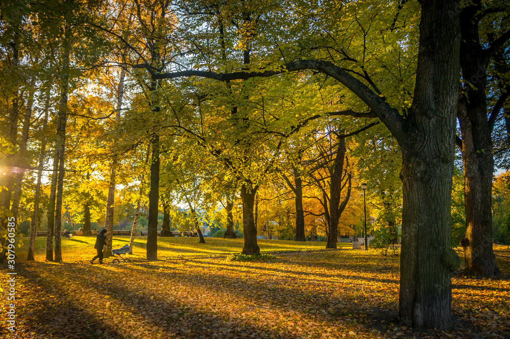 Naklejka premium Autumn city park in St. Petersburg