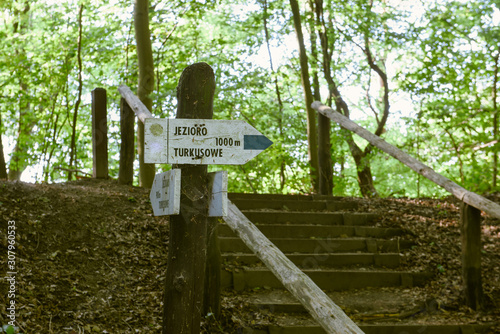 information boards in the forest. copy space. summer time
