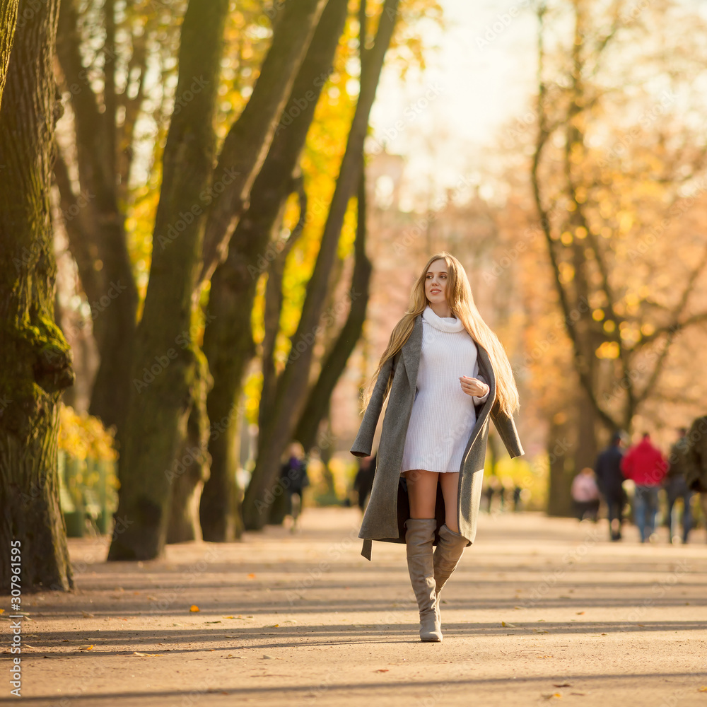 Beautiful happy girl with light brown hair walks in the autumn park. Attractive young woman in a gray coat and white sweater is walking along the alley. Golden light and yellow foliage on the trees. Beautiful happy girl with light brown hair walks in the autumn park. Attractive young woman in a gray coat and white sweater is walking along the alley. Golden light and yellow foliage on the trees.