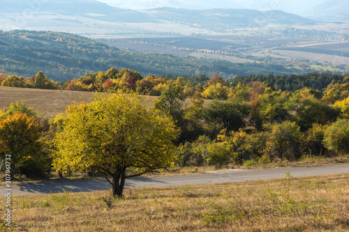 Autumn landscape of Cherna Gora mountain, Bulgaria