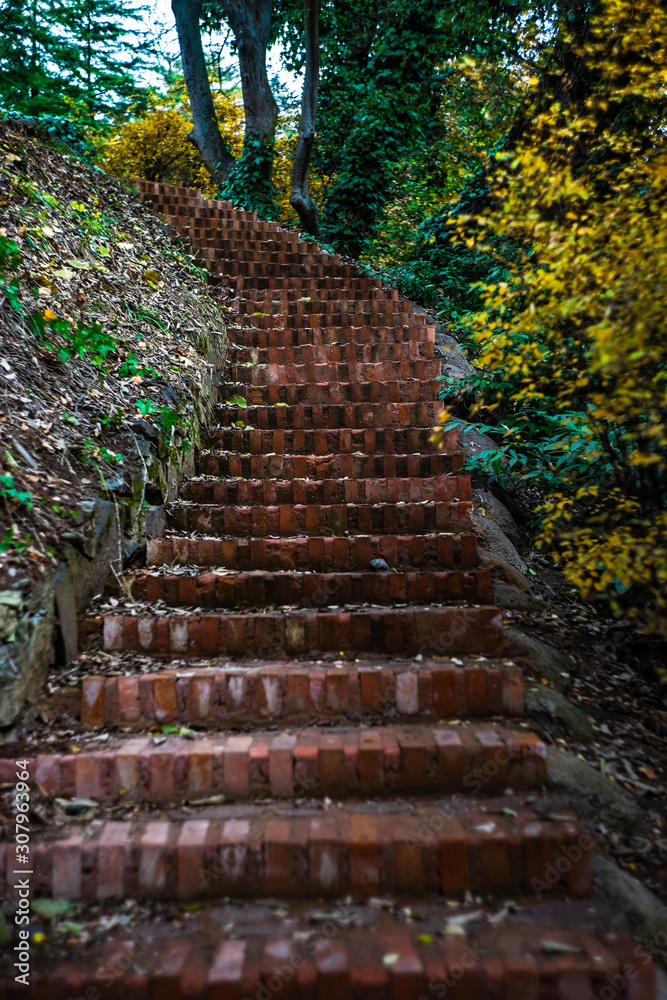 Obraz premium Autumnal path in a park