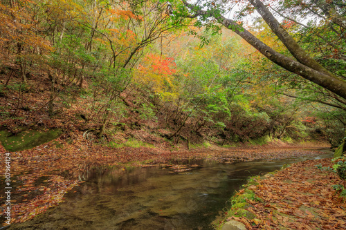                                           Takkiri Canyon   autumn   Ooita Usa city