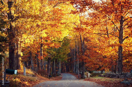 Bright warm colors New England Foliage