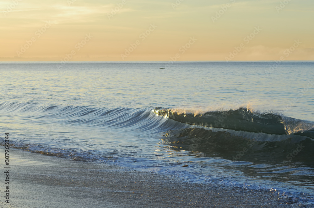 A morning wave breaking along the Pacific coast.