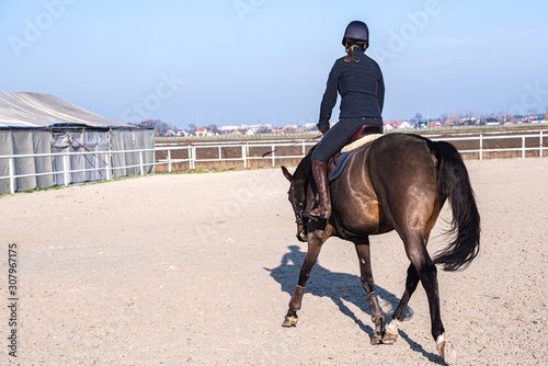 Young girl riding a horse . Equestrian sport in details. Sport horse and rider on gallop . the jockey on a horseung girl riding a horse . 