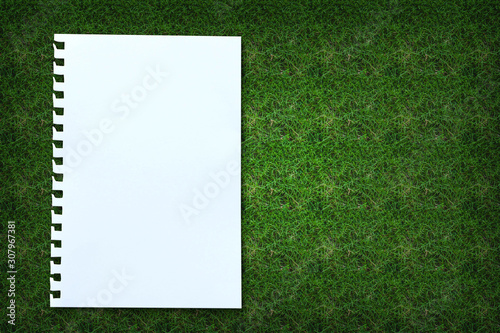 white paper on green grass background.