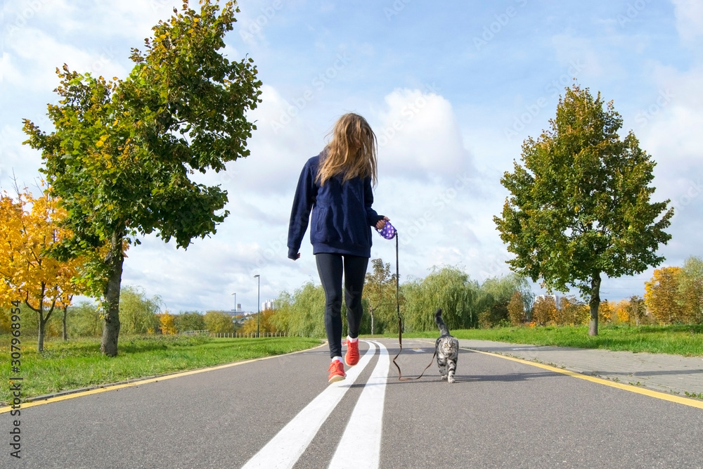 The girl is running with a cat on a leash. Sport with a cat. The girl is walking a cat on a leash.