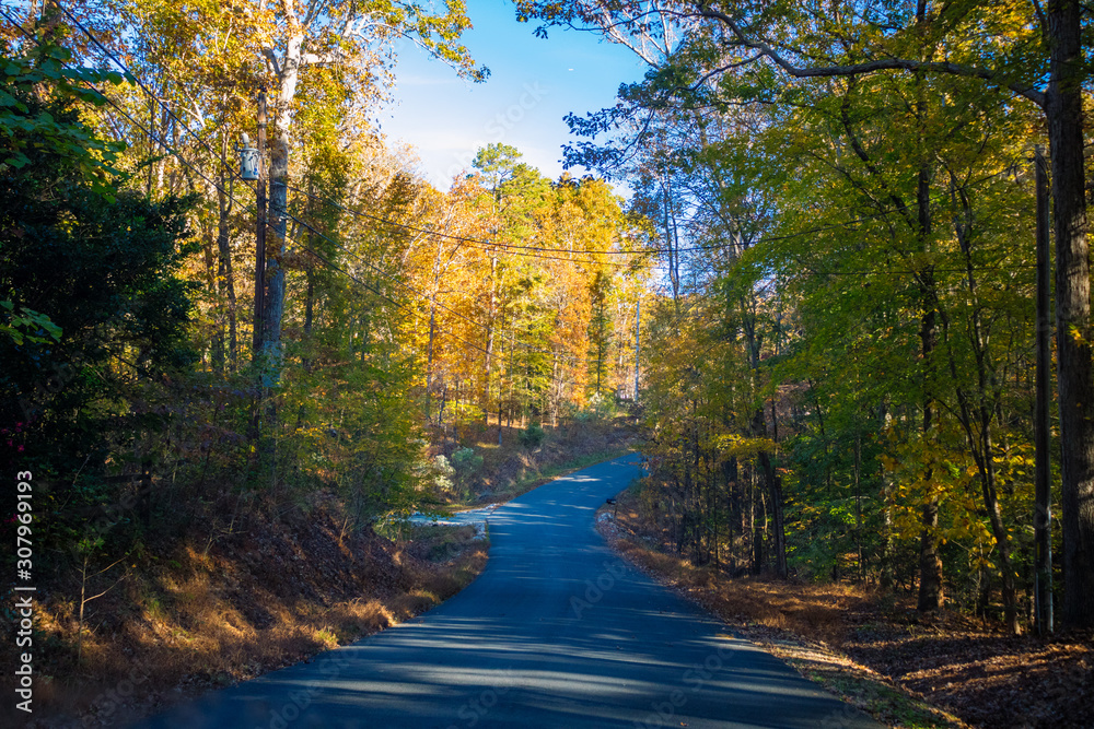 autumn in park