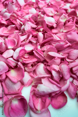 Fototapeta Naklejka Na Ścianę i Meble -  Pink rose petals top view